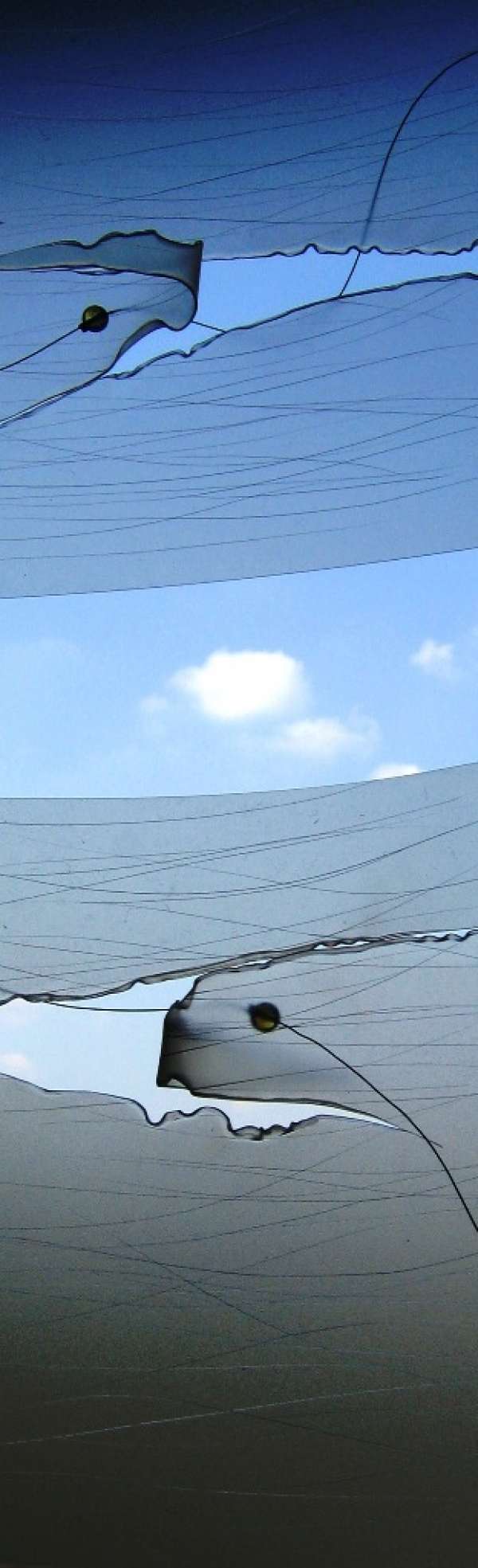 1276630352Sonia Casari