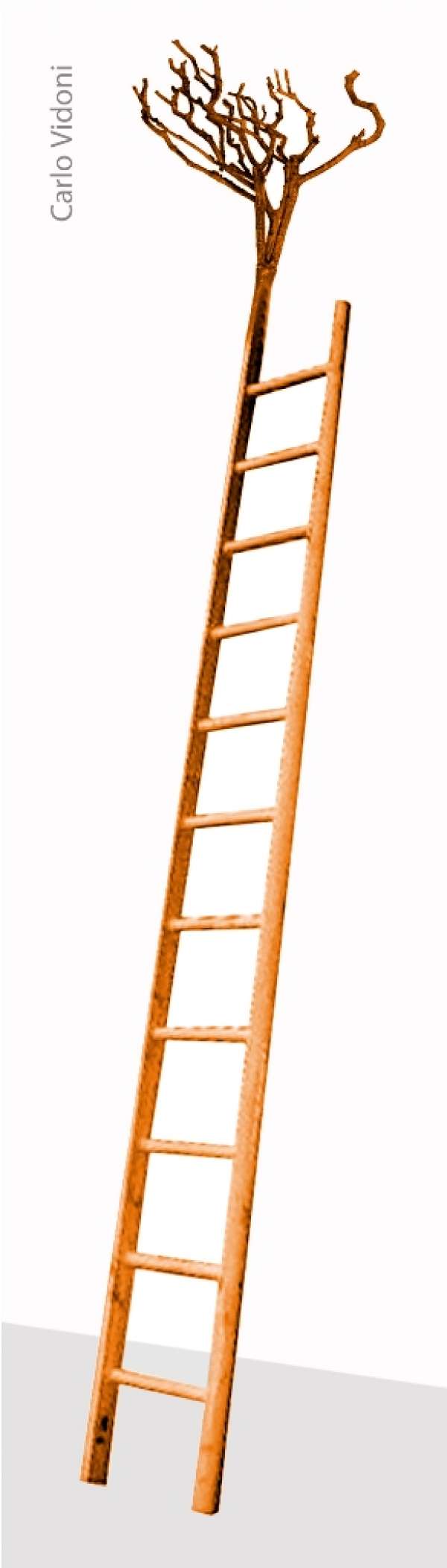 Carlo Vidoni - Una scala per la luna