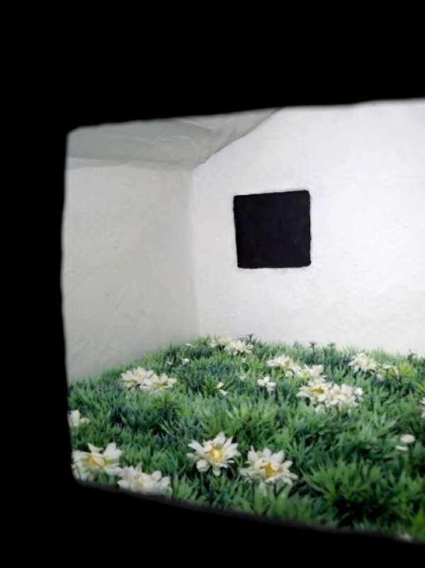 Sorge al centro un prato fiorito-dettaglio 1..JPG